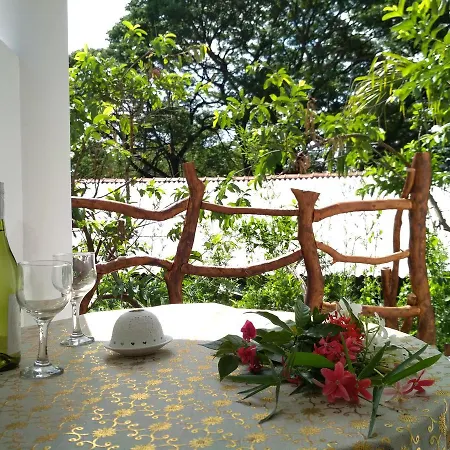 Sigiriya Danu Homestay Buitenkant foto