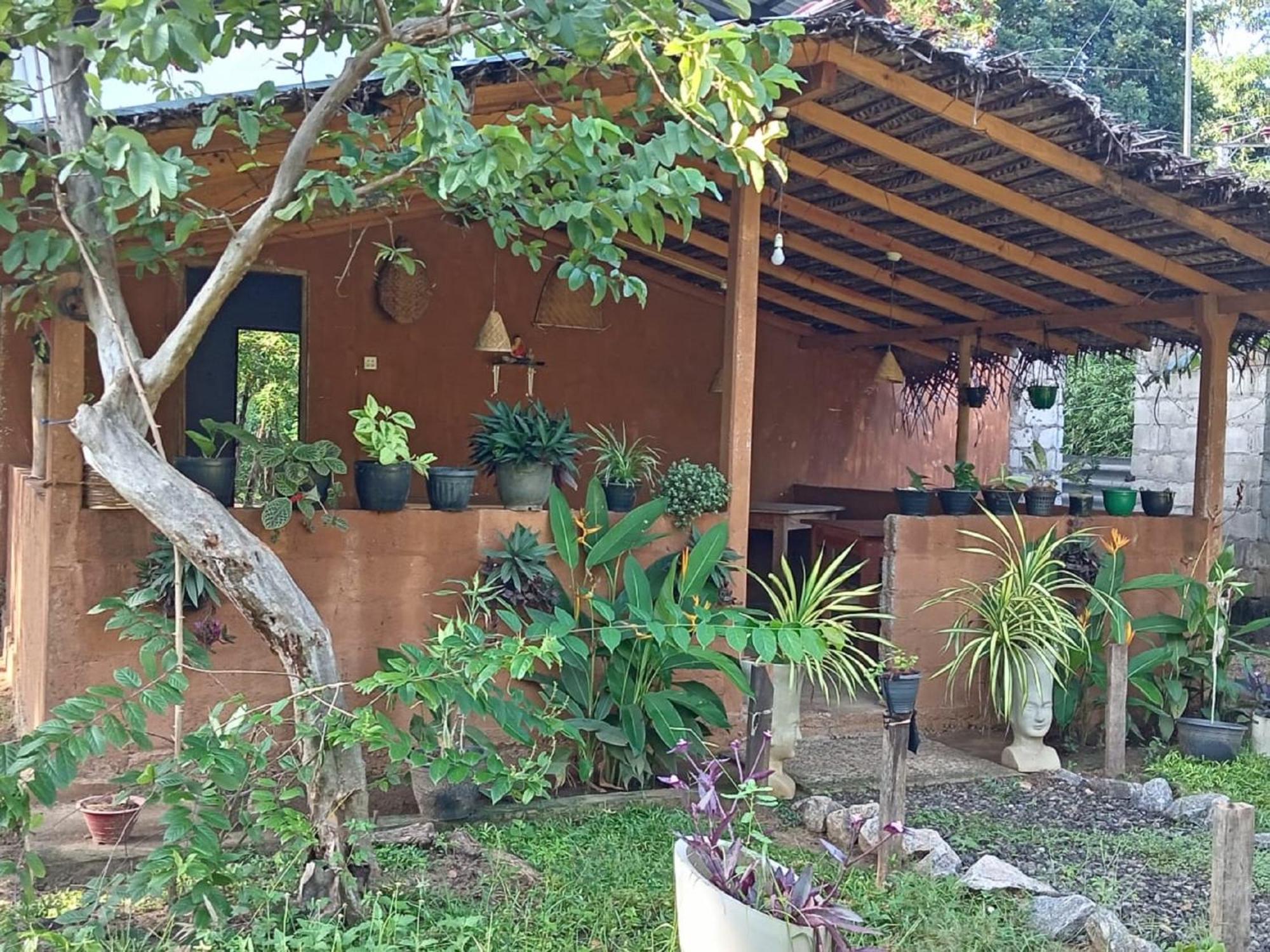 Homestay Danu